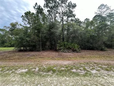 GEORGETOWN FL Property