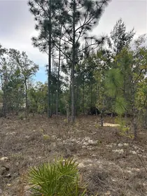 DUNNELLON FL Property