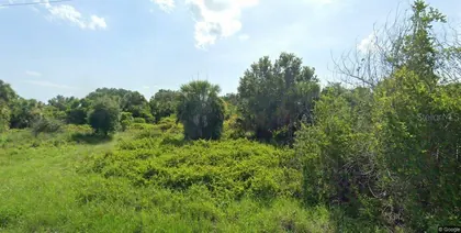 PORT CHARLOTTE FL Property