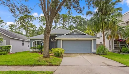 TAMPA FL Home