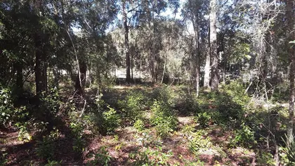 DUNNELLON FL Property