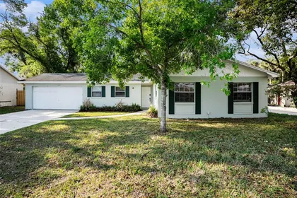 BRANDON FL Home