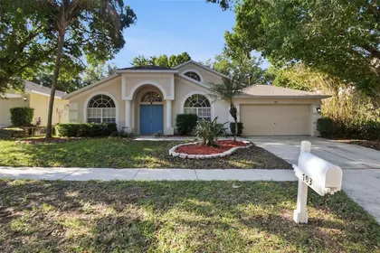 VALRICO FL Home