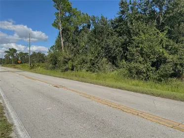 BARTOW FL Property
