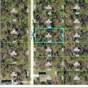 WEEKI WACHEE FL Property