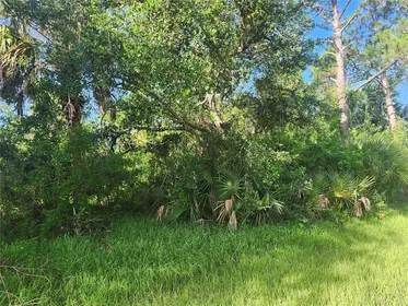 PORT CHARLOTTE FL Property