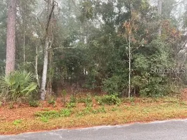 BELLEVIEW FL Property