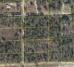 BRONSON FL Property