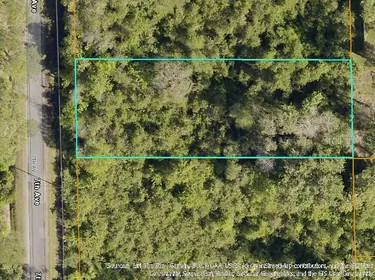 DELAND FL Property