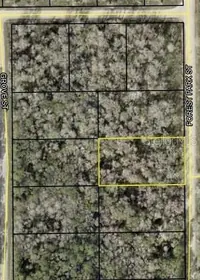 BUNNELL FL Property