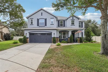 MOUNT DORA FL Home