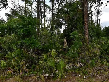 NORTH PORT FL Property