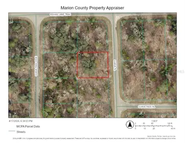 OCKLAWAHA FL Property