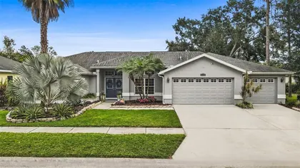 ZEPHYRHILLS FL Home