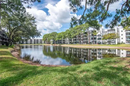 ST PETERSBURG FL Home