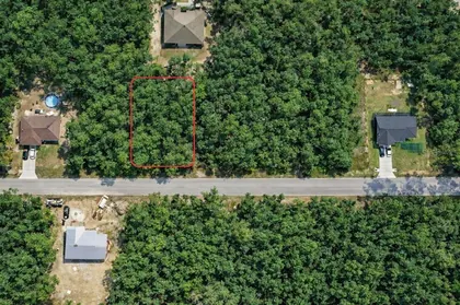 OCKLAWAHA FL Property