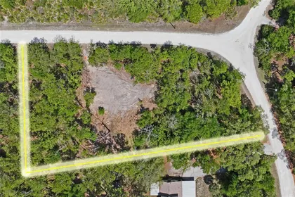 WEEKI WACHEE FL Property