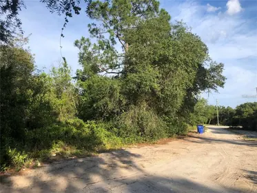 AVON PARK FL Property