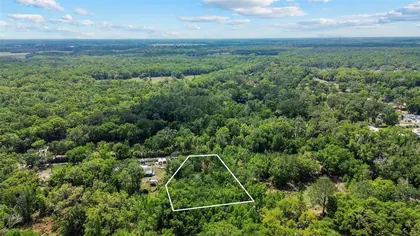 THONOTOSASSA FL Property