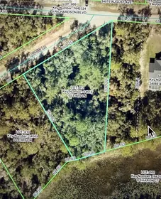 WEBSTER FL Property