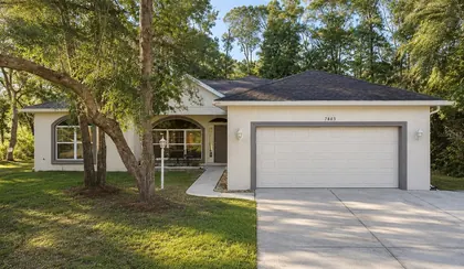 CITRUS SPRINGS FL Home