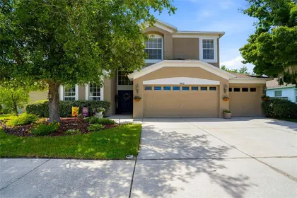 LAND O LAKES FL Home