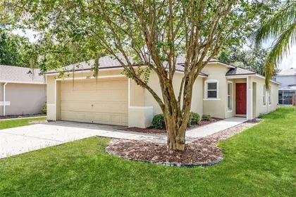 SEFFNER FL Home