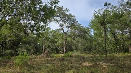 HERNANDO FL Property
