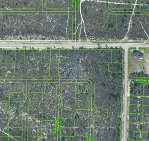SEBRING FL Property