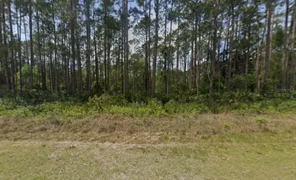 GEORGETOWN FL Property