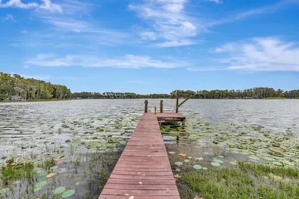 LUTZ FL Home