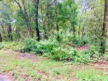 SEVILLE FL Property