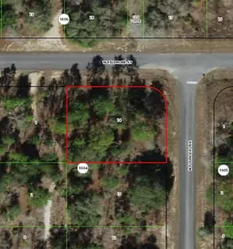 DUNNELLON FL Property