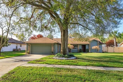 WINDERMERE FL Home