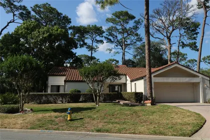 WESLEY CHAPEL FL Home
