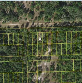 ST CLOUD FL Property