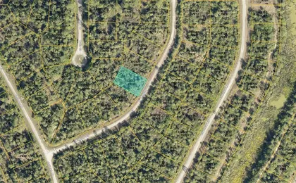 NORTH PORT FL Property