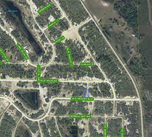 LAKE PLACID FL Property