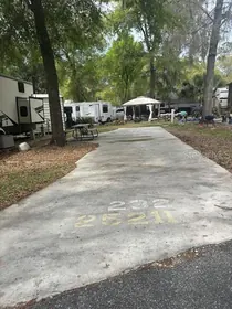 SALT SPRINGS FL Property