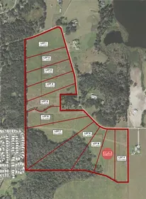 DADE CITY FL Property