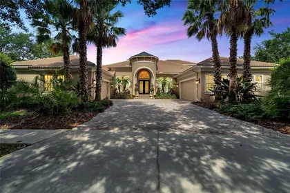 LITHIA FL Home