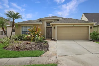 LITHIA FL Home