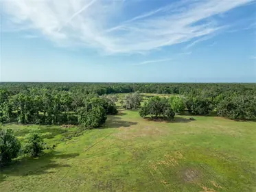 WEBSTER FL Property