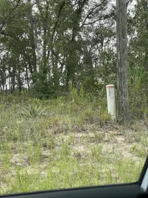 CITRUS SPRINGS FL Property
