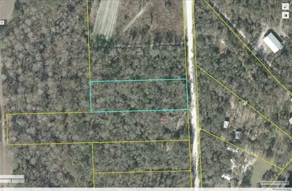 BRANFORD FL Property