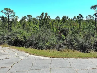 PLACIDA FL Property