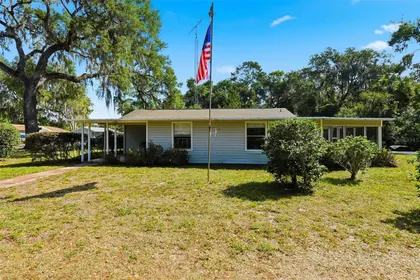 LAKE PANASOFFKEE FL Home