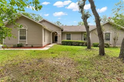 GAINESVILLE FL Home
