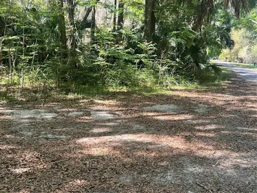 WILLISTON FL Property