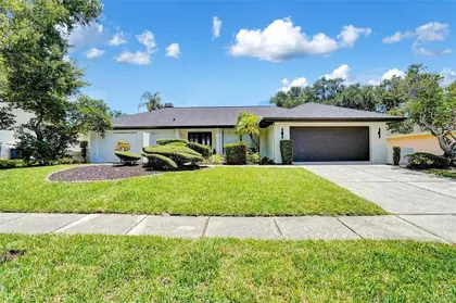 CLEARWATER FL Home